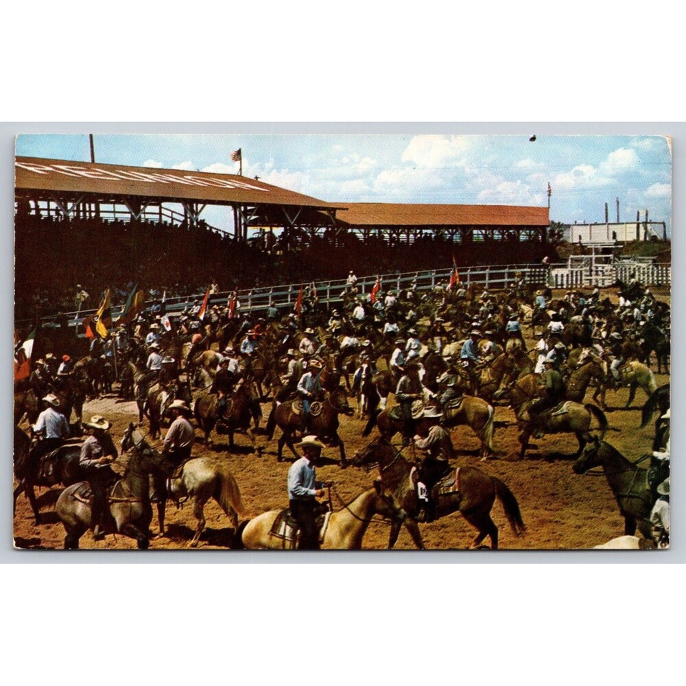 Postcard Typical Rodeo Gala Event in the West Unposted c1950s Cowboys Horses TX